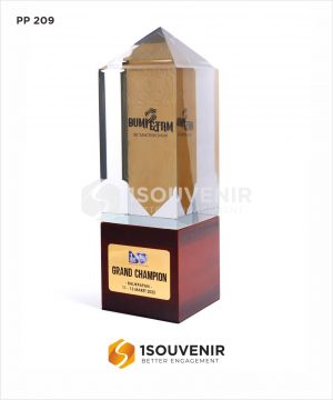 Piala Penghargaan IBC Sunction Show